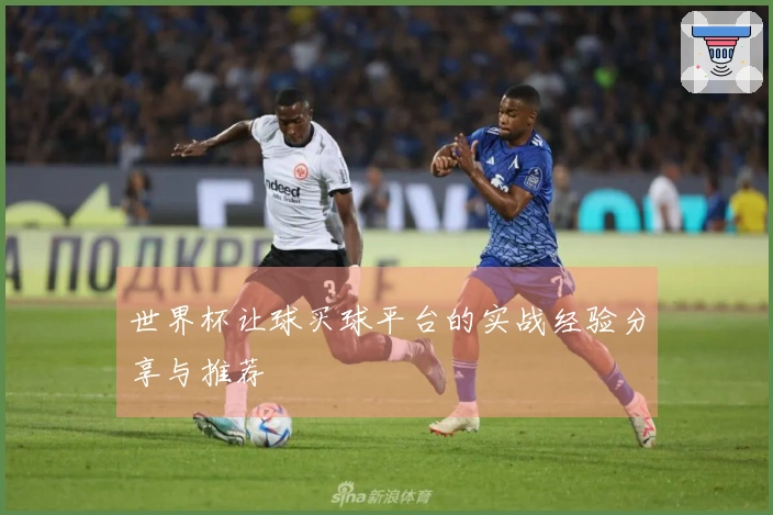 世界杯让球买球平台的实战经验分享与推荐
