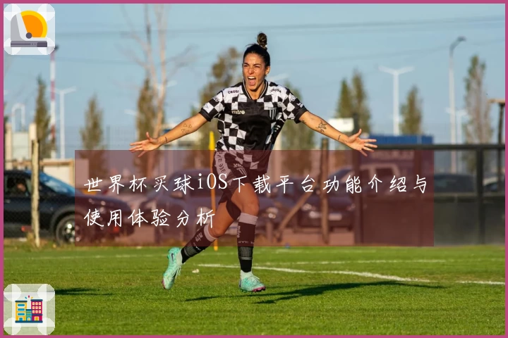 世界杯买球iOS下载平台功能介绍与使用体验分析