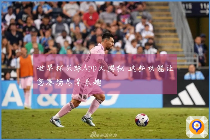 世界杯买球App大揭秘 这些功能让您赛场尽享乐趣