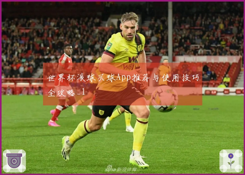 世界杯滚球买球App推荐与使用技巧全攻略_1