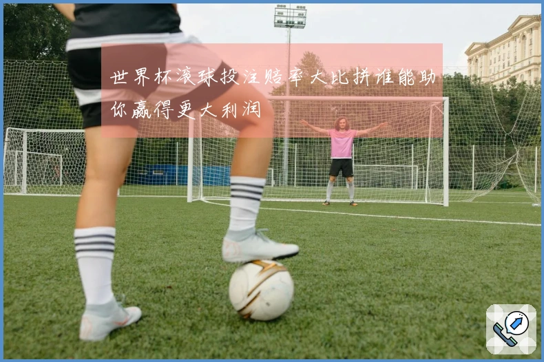 世界杯滚球投注赔率大比拼谁能助你赢得更大利润