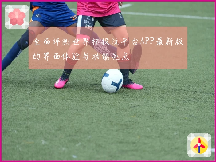 全面评测世界杯投注平台APP最新版的界面体验与功能亮点