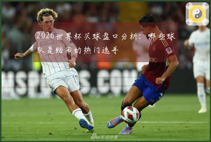 2026世界杯买球盘口分析：哪些球队是赔率的热门选手