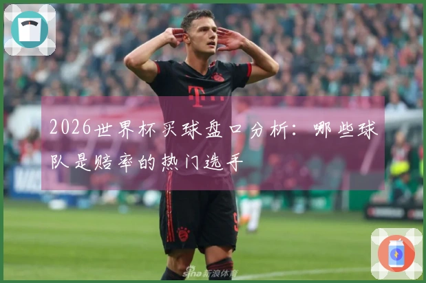 2026世界杯买球盘口分析：哪些球队是赔率的热门选手