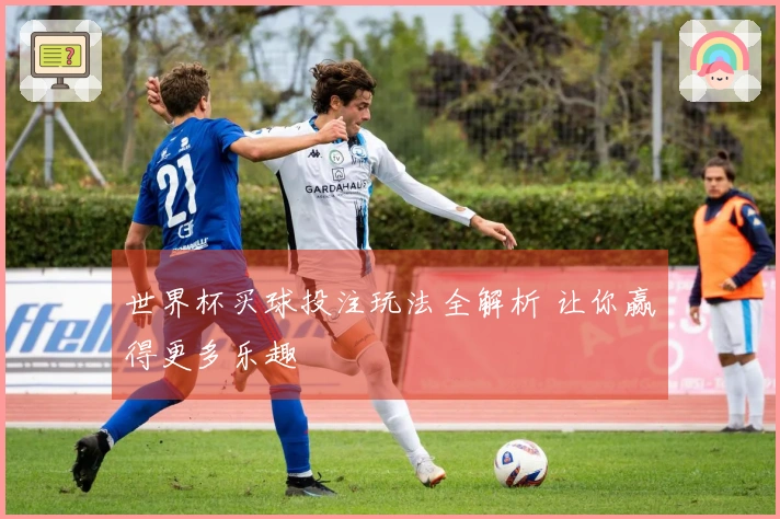 世界杯买球投注玩法全解析 让你赢得更多乐趣