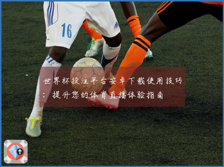 世界杯投注平台安卓下载使用技巧：提升您的体育直播体验指南