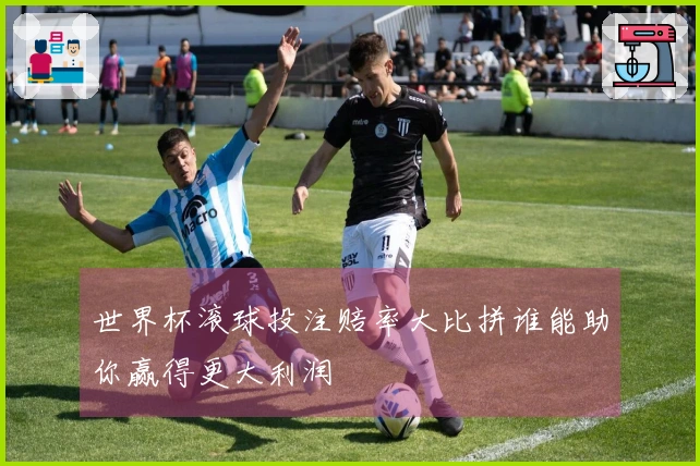 世界杯滚球投注赔率大比拼谁能助你赢得更大利润