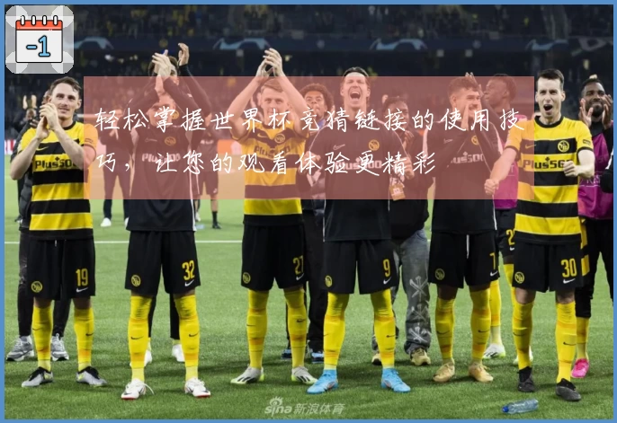 轻松掌握世界杯竞猜链接的使用技巧，让您的观看体验更精彩