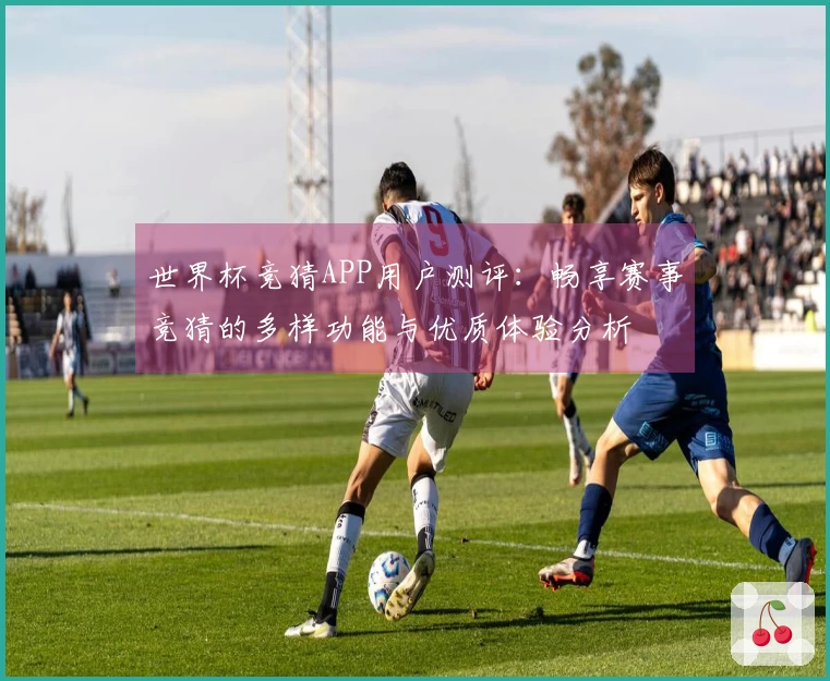 世界杯竞猜APP用户测评：畅享赛事竞猜的多样功能与优质体验分析